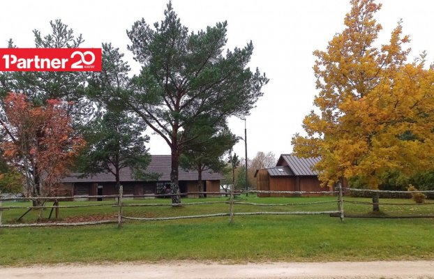 картина 5 of 11