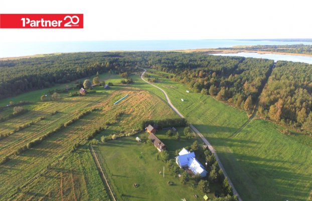 картина 1 of 11