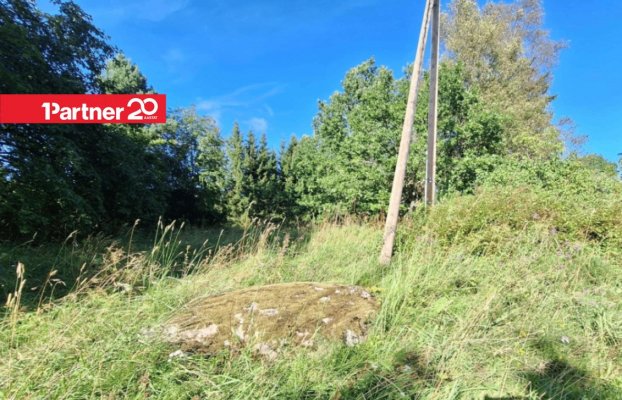 Image 10 of 14