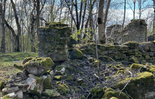 Image 14 of 21