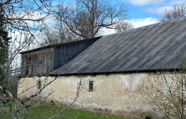 Image 10 of 21