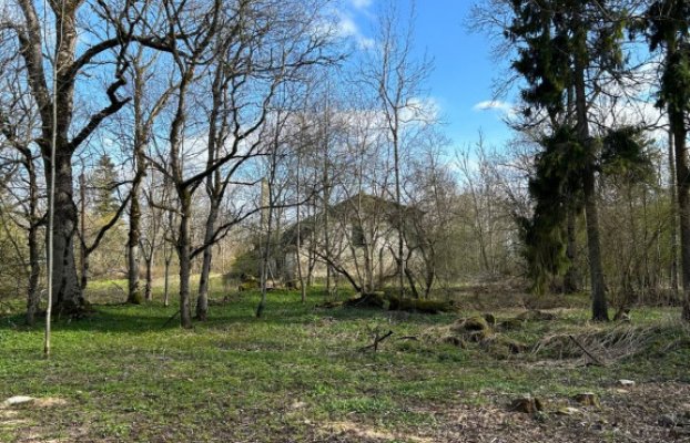 Image 16 of 21