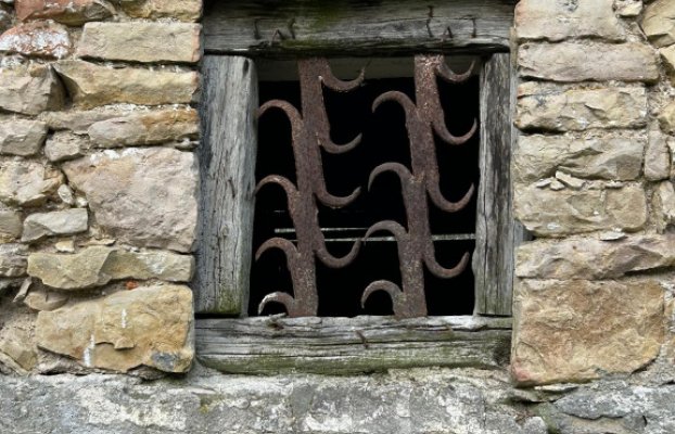Image 11 of 21