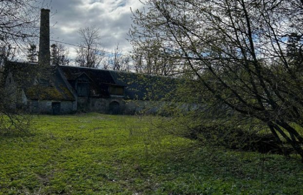 Image 7 of 21