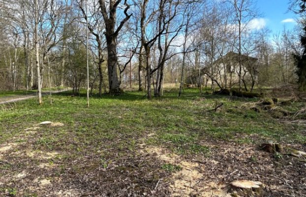 Image 15 of 21