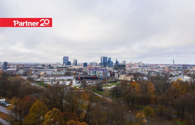 картина 25 of 31