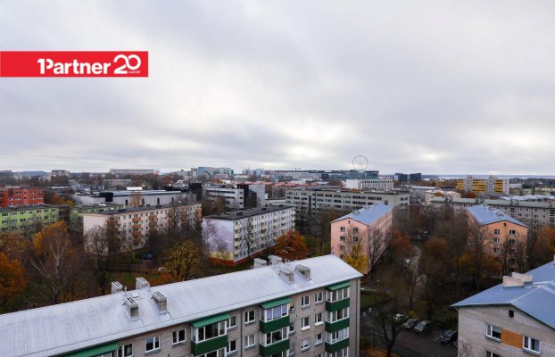 картина 26 of 31