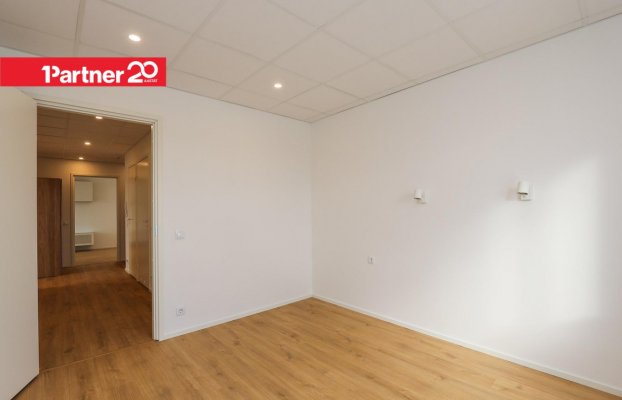 картина 14 of 31