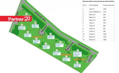 Image of KEHTIV DETAILPLANEERING! LIITUMISTASUD HINNAS!