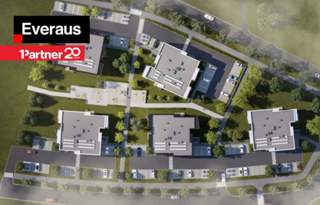 картина 14 of 14