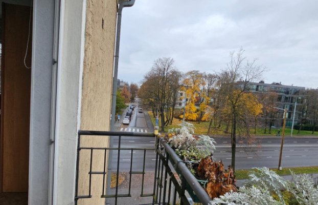 картина 8 of 22