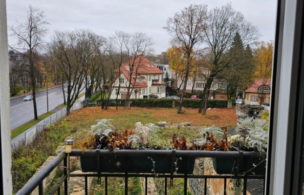 картина 1 of 22