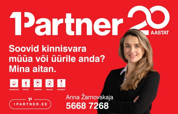 картина 14 of 14