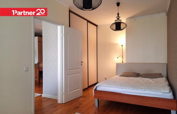 картина 11 of 24