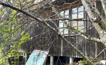 Image of HUVITAVA KRUNDIGA SUVILA KESET LOODUST