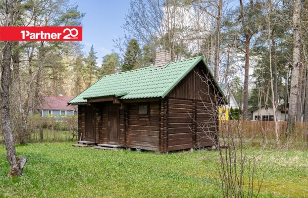 картина 28 of 38