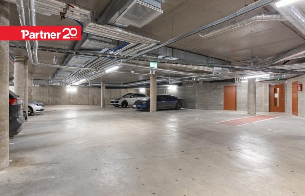 картина 20 of 25