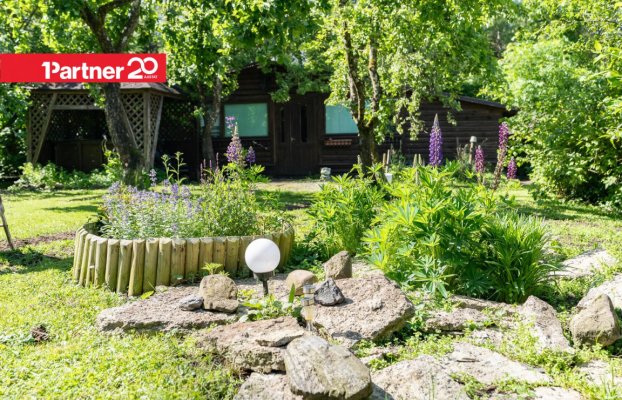 картина 56 of 59