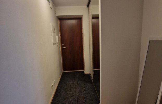 Image 5 of 17