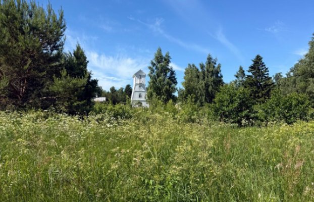 Image 24 of 28