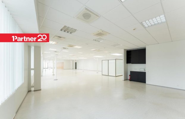 картина 11 of 23