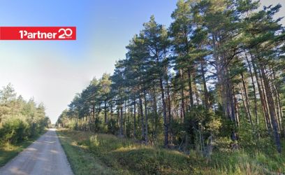 Image of Ehitusvõimalusega maatükk (2.9 ha) Hiiumaa looderannikul!
