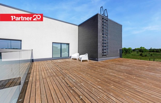 картина 27 of 54