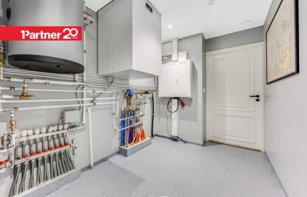 картина 42 of 54