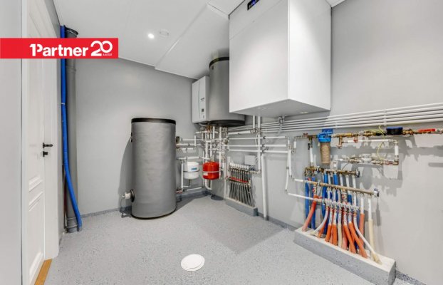 картина 41 of 54