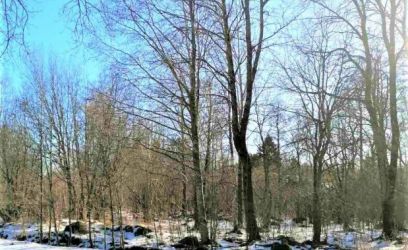 Image of PROJEKTEERIMISTINGIMUSED VÄLJASTATUD