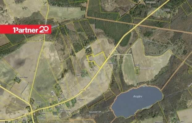 картина 6 of 7