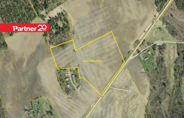 картина 2 of 7