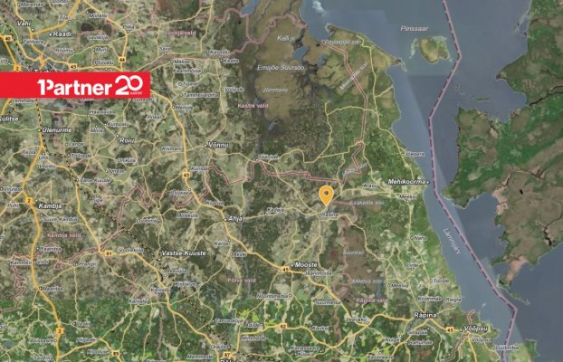 картина 7 of 7