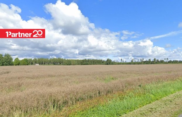 картина 5 of 7