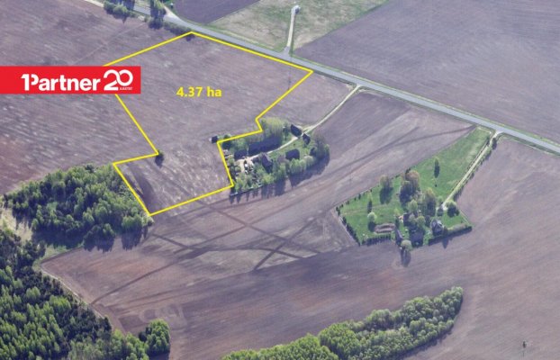 картина 4 of 7