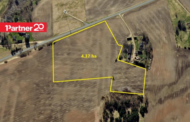 картина 1 of 7