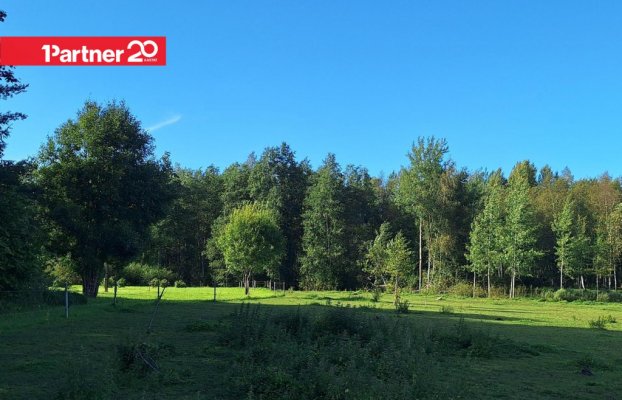картина 13 of 14