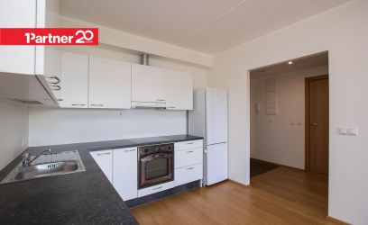 Image of Sipelga tn 2