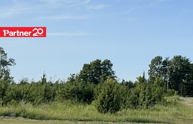 Image 13 of 20