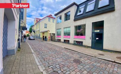 Pilte ESIMESED 3 KUUD SOODUSÜÜR 1210 eur!!! (edaspidi 12 eur/m2)