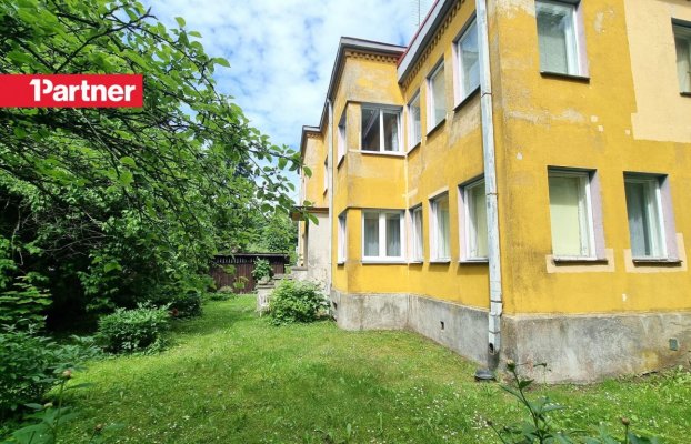 Image 10 of 19