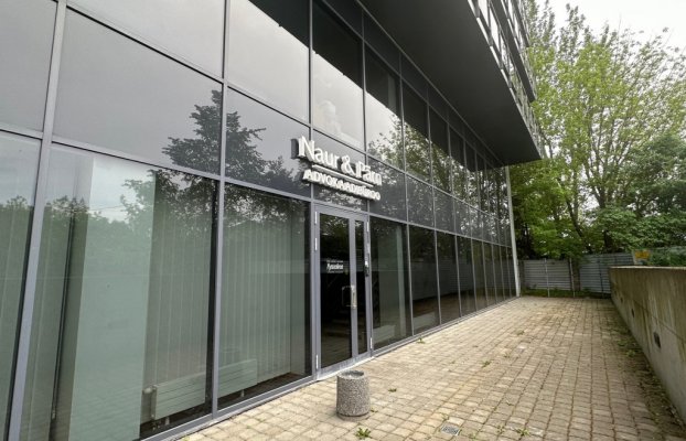 картина 2 of 13