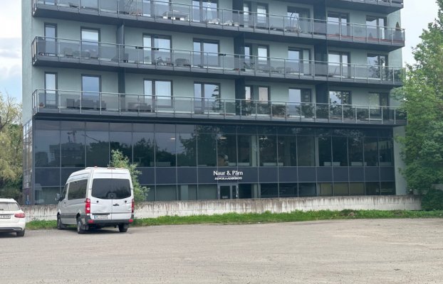 картина 11 of 13