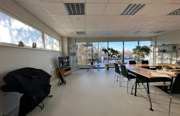 картина 5 of 13