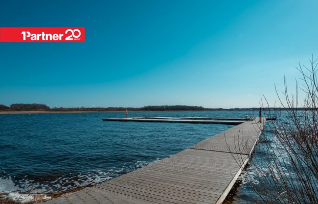 картина 15 of 18