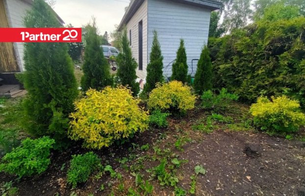 картина 4 of 18