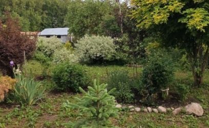 Image of KAUNIS KRUNT MAARDU JÄRVE ÄÄRES