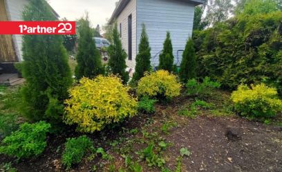 Image of KAUNIS KRUNT MAARDU JÄRVE ÄÄRES