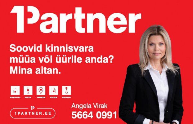 картина 49 of 49