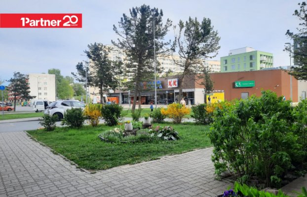 Image 26 of 28